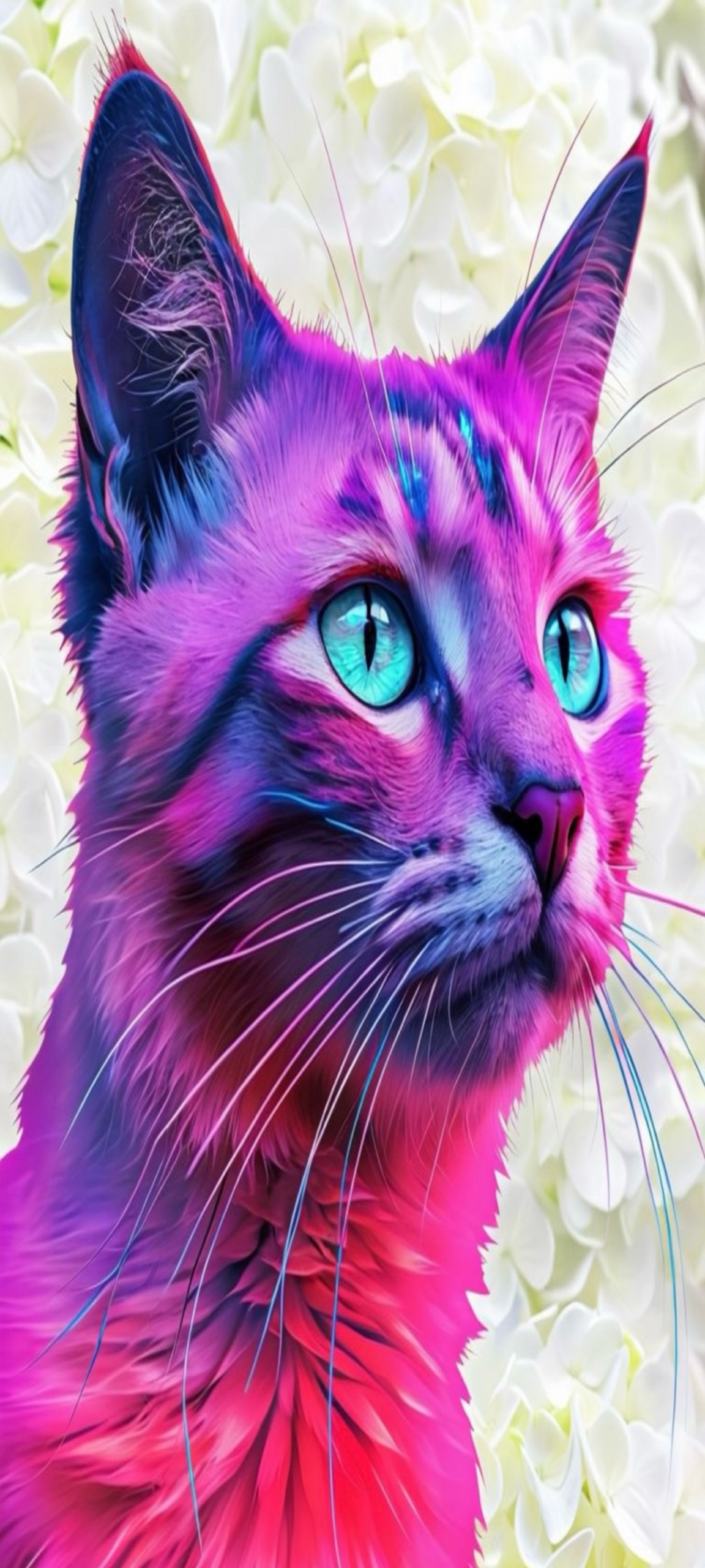 Animal Botanicals Collection